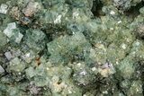 Highly Fluorescent Green Fluorite Crystals with Galena - India #348247-1